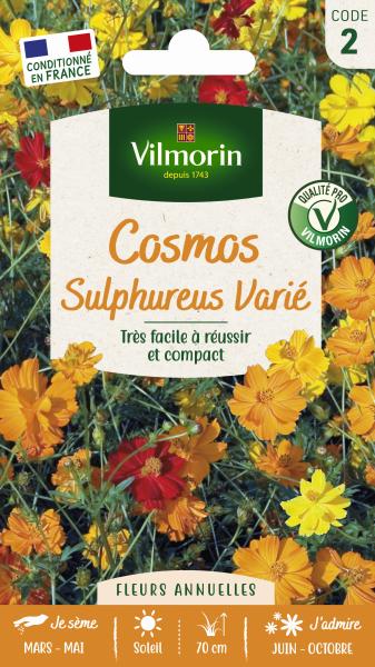 Fleurs - Cosmos Sulphureus Varié - PACKAGING_RECTO